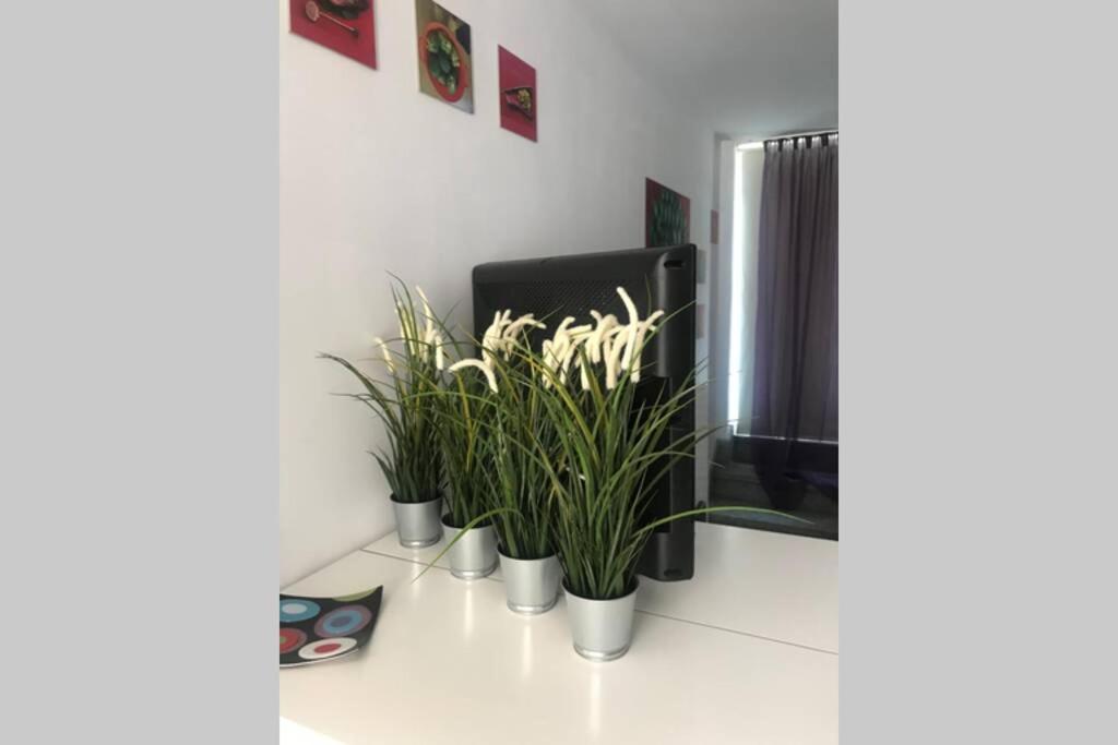 Apartamento con vistas y magnifica terraza Guía de Isora Exterior foto
